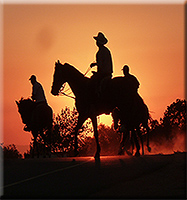 Horseback Riding Norco, CA